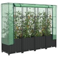 vidaXL, vidaXL Hochbeet mit Gewächshaus-Aufsatz Rattan-Optik 160x40x138 cm