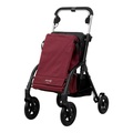 Playcare, Gehwagen R05 mit Tasche und Sitz