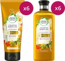 Herbal Essences, Herbal Essences Goldenes Moringaöl Shampoo