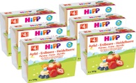 HiPP Bio Frucht-Pause Apfel-Erdbeere-Heidelbeere