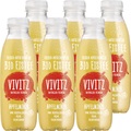 Vivitz Bio Eistee Apfel-Minze 6x50cl