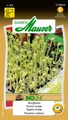 Samen Mauser, Keimsamen Mungbohnen Bio