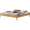 Hasena Bett Castello