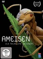 Ameisen - Die heimliche Weltmacht, 1 DVD