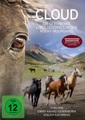 Cloud - Die Geschichte eines Hengstes in den Rocky Mountains, 1 DVD
