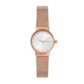 Skagen Uhren Damen