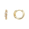 Xenox Splash Ohrschmuck Damen