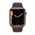 Apple Watch Series 7 GPS + Cellular 45mm Gold Stainless Steel Case with Dark Cherry Sport Band Smartwatch