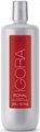 Schwarzkopf Prof. Igora Royal Öl-Entwickler 3% 1000ml