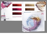 Color Chart