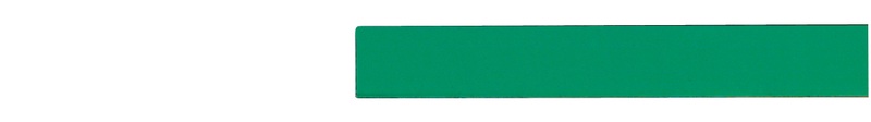 LEGAMASTER Magnetstreifen 10mmx30cm 7-440204 grün 6 Stück