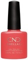 Shellac - Color Coat Tropix