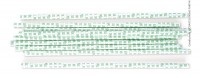 ScrapCooking, Scrapcooking - 20er-Set Papier-Trinkhalme Rosaces - Seegrün