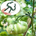 (20er Set) Ø20mm/35mm Garten Pflanzenklammern Pflanzenclips Rankhilfe - Grün