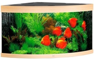 Juwel, Juwel Trigon Aqua. 350,123x87x65cm, hell