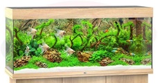 Juwel Aquarium Rio 240, 121x41x55cm,hell