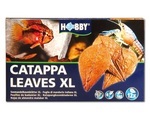 HOBBY Catappa Leaves XL 12Stück