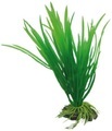 Hobby, HOBBY Cyperus 16 cm