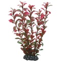 HOBBY Ludwigia 25 cm
