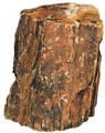 HOBBY Steinholz L 2,2-4,0 kg