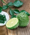 undefined, BIO-Kaffir-Limette (1 Pflanze)