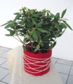undefined, Winterschutzmatte aus Schafwolle ´rot´ 200x20 cm (200 x 20 cm)