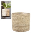 Kokos-Übertopf 'creme' ø20 cm mit Folieneinsatz