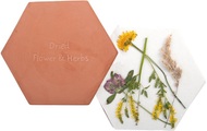 Blumen- & Kräuterpresse Mikrowelle