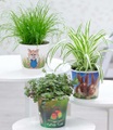 Pflanzen-Set ´Leckereien für Ihr Haustier´ (3 Pflanzen)