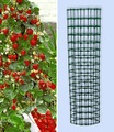 Kletter-Erdbeere ´Hummi®´ und Dekorativer Rankturm (1 Set)