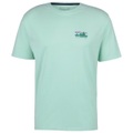 Patagonia - 73 Skyline Organic T-Shirt - T-Shirt Gr L grün