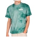 Iriedaily - Hazy Charms Tee - T-Shirt Gr L;M;S;XL türkis
