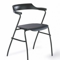 Rex-Kralj Project Chair