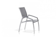 Todus Alcedo Sessel