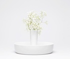 Conmoto, Conmoto CAPULA Vase