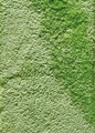 Kuatro, Kuatro Lux Sense 37 Rug