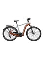 BERGAMONT Herren E-Bike E-Horizon Edition LTD Gent silber | 64