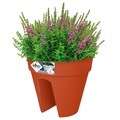 Blumentopf Terrakotta 28,5x25,5cm