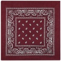 Rock Daddy Bordeaux Paisley Bandana bordeaux