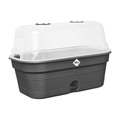 Elho Green Basics Grow Tray Allin1 M - Living Black