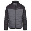 Regatta, Regatta Herren Steppjacke Freezeway magnet black L