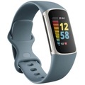 Fitbit, FITBIT Charge 5 - Fitness-Tracker (Graublau/Platin)