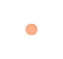 Mac Cosmetics - Eye Shadow (Pro Palette Refill Pan) - Samoa Silk