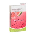 VOESH New York - Pedi In A Box 4 Step Watermelon Burst