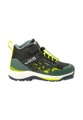 Jack Wolfskin Jack Wolfskin Villi Hiker Texapore grün