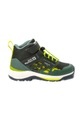 Jack Wolfskin Jack Wolfskin Villi Hiker Texapore grün