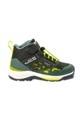 Jack Wolfskin Wanderschuh »VILLI HIKER TEXAPORE MID K«