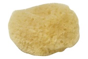 Rayher, Naturschwamm Set Fina,feinporig,3,5-5 cm