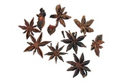 Sternanis