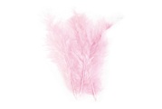 Flauschfeder